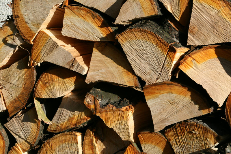 Difference between Seasoned And Unseasoned Wood 