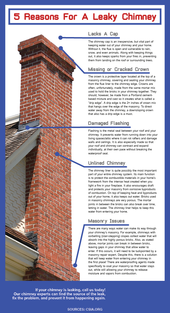 Five Reasons for a Leaky Chimney Infographic - Spartanburg SC - Greenville SC - Blue Sky Chimney Sweeps